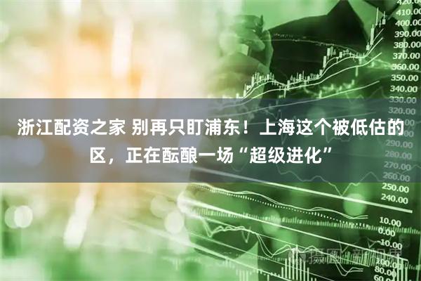 浙江配资之家 别再只盯浦东！上海这个被低估的区，正在酝酿一场“超级进化”