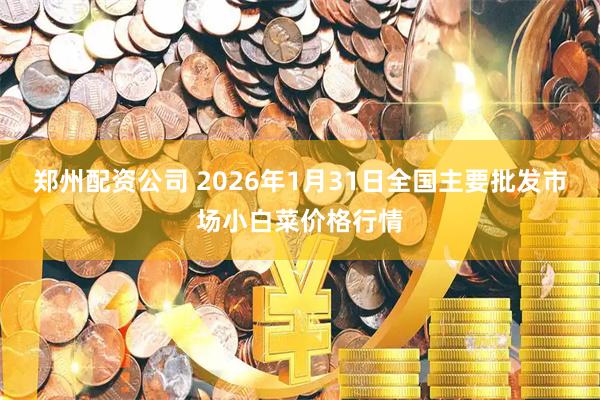 郑州配资公司 2026年1月31日全国主要批发市场小白菜价格行情