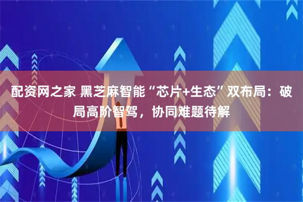 配资网之家 黑芝麻智能“芯片+生态”双布局：破局高阶智驾，协同难题待解