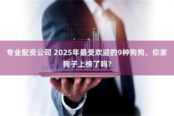 专业配资公司 2025年最受欢迎的9种狗狗，你家狗子上榜了吗?