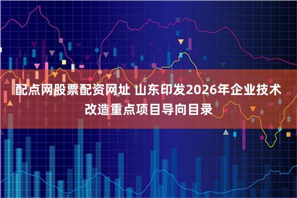 配点网股票配资网址 山东印发2026年企业技术改造重点项目导向目录